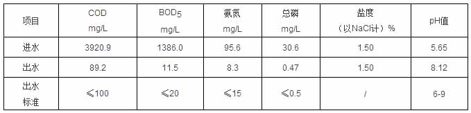 高含盐废水处理工程案例