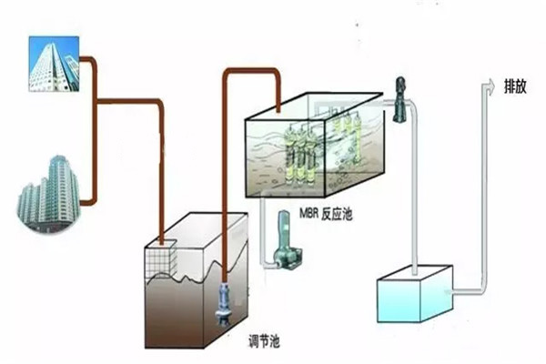 2025澳门原料网大全